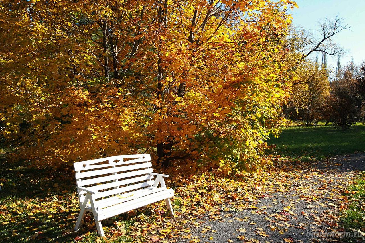  ����� ���� ������� �������� ��������� ����� ����� 