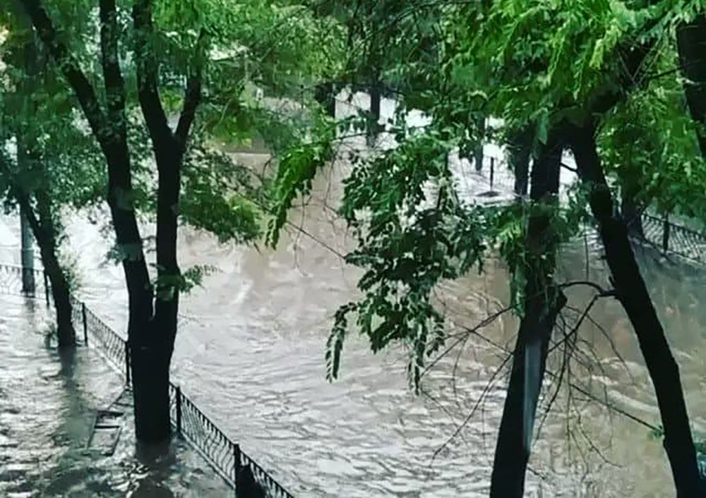  ����� ������� ������ ������ ����������� ��������� ����� ���� 