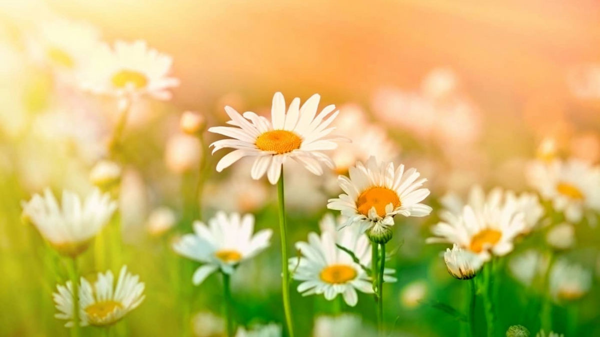  ����� ��������� ������ ��������� ������� �������� 