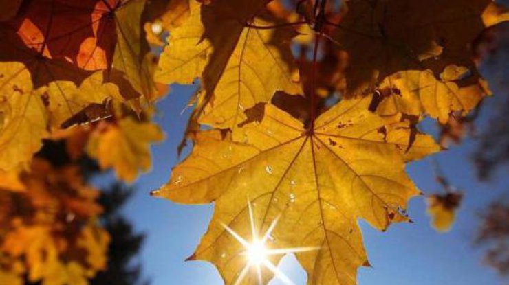  ������� ������� ��������� ����� ��������� ������� ������ ������� 