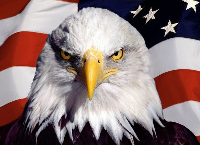  ��������� ������� ������ ���������� ������������ ����������� ������� 