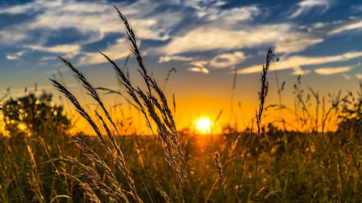  ����� �������� ������� ����� ����� ����� ������� ������ 