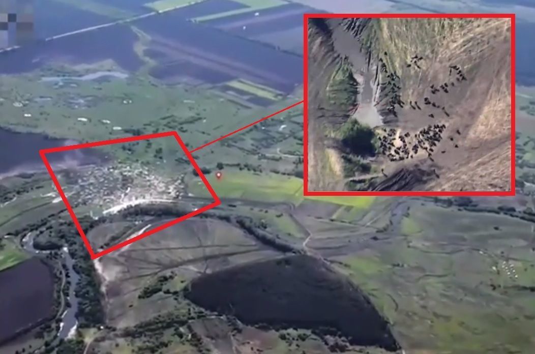 ����: dialog.ua