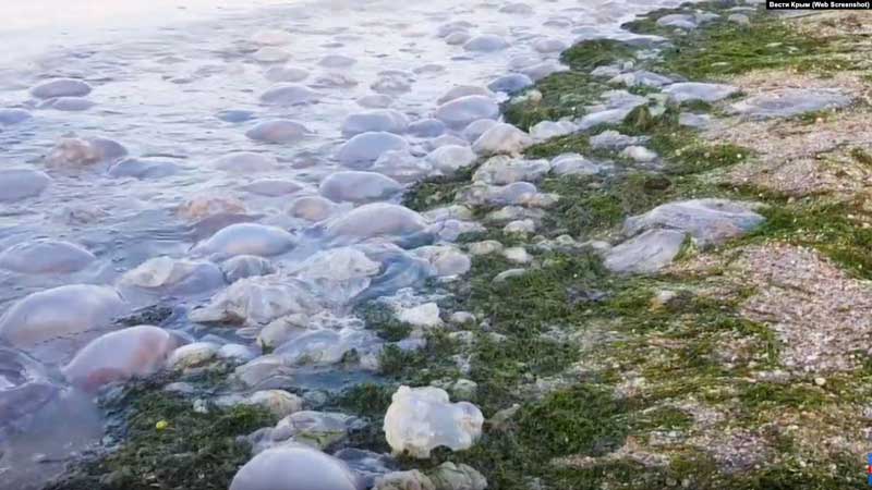 ����: dialog.ua