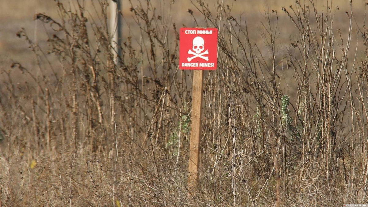 ����: dialog.ua