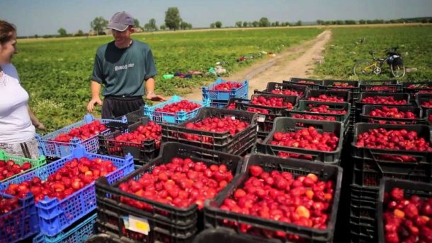  ������������ ����� �������� ��������� �������� ������ �������� ��������� 