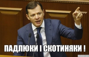 владимир арьев, олег ляшко, андрей лозовый, пасе, парламент, верховная рада, делегат, представитель