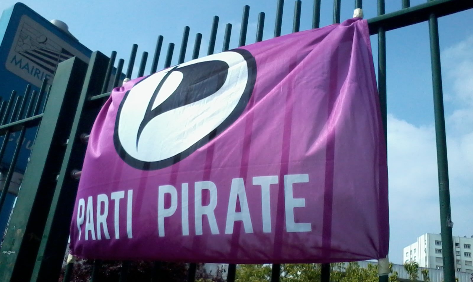 Правительство Исландии могут сформировать пираты: Пиратская партия заняла третье место на парламентских выборах