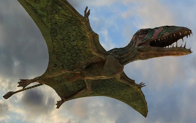 В Монголии обнаружены останки "главного повелителя" небес среди хищников: невероятные размеры летающей древней ящерицы  шокировали ученых 