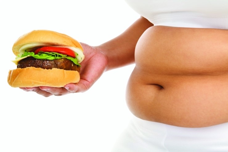 Американские ученые нашли биологическую причину ожирения