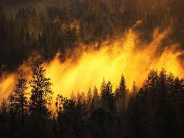 Площадь пожаров в Забайкалье достигла почти 200 тысяч гектаров