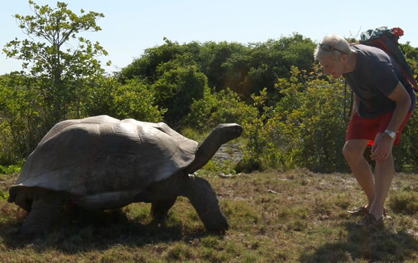 Гигантский самец черепахи "приревновал" к исследователям самку и устроил за ними настоящую погоню