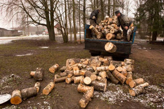 В Киевской области люди массово запасаются дровами