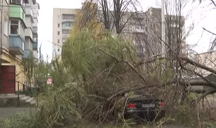 В Виннице сильный ветер сдул три остановки и повалил деревья: смотреть кадры с места событий