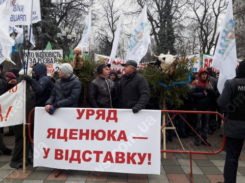 В Киеве 15 тысяч аграриев пикетировали Раду: принесли коровьи головы и гоняли кролика