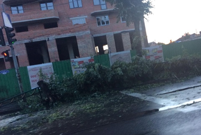 Разрушительный шторм в Луцке: город остался без троллейбусов и деревьев