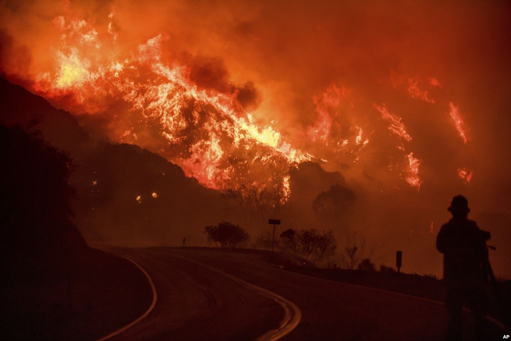 Как горит Калифорния: в Сети опубликованы фотоснимки лесного пожара в самом известном штате США - кадры