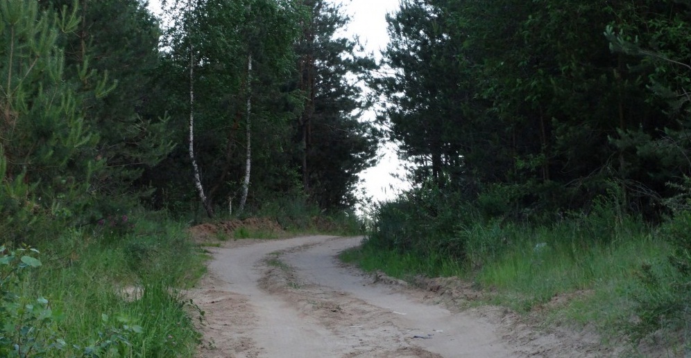 Шокирующее убийство в Луганске: в посадке найден расчлененный труп пропавшей 2 месяца назад девушки 