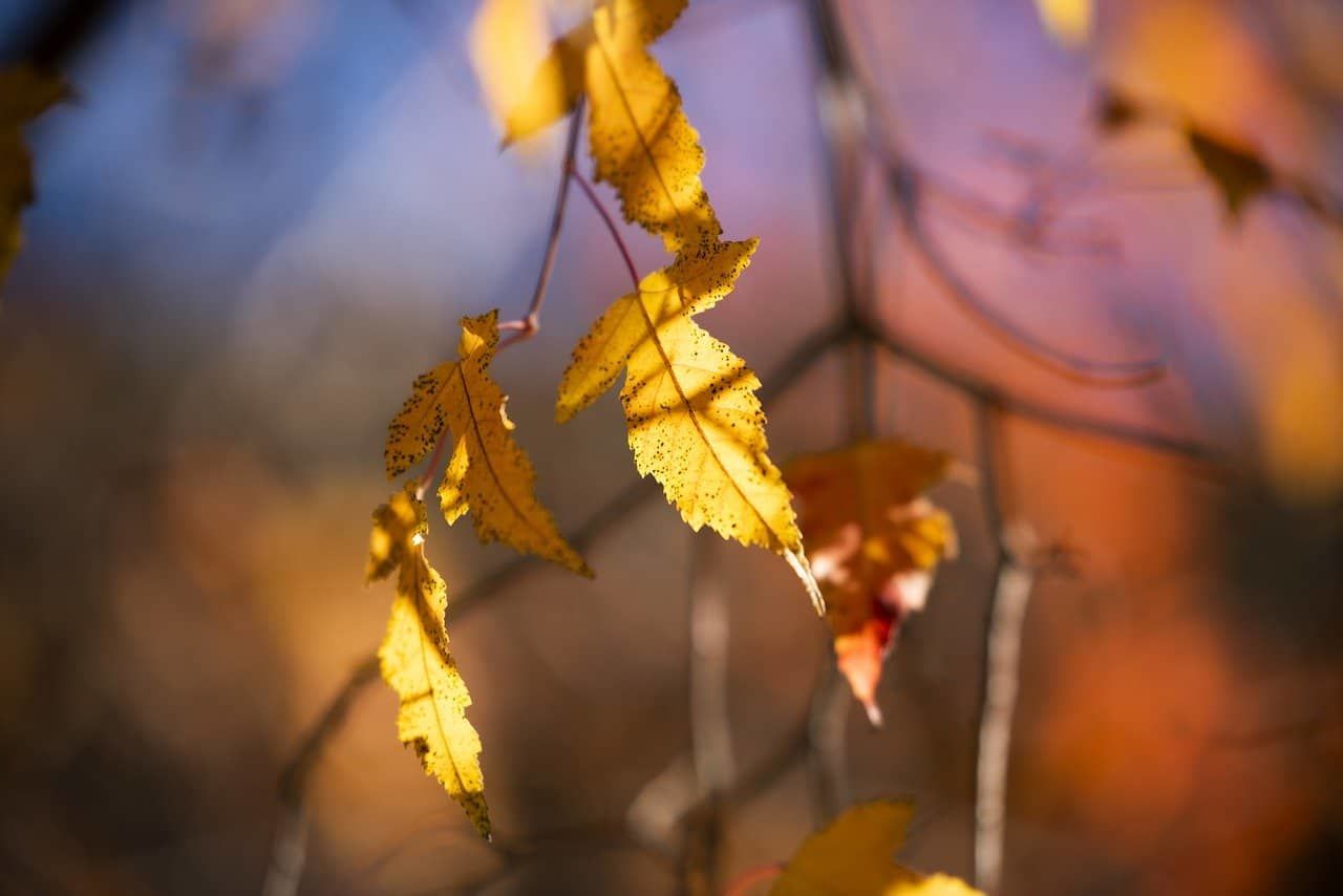 Украине пообещали спокойную погоду, кроме нескольких регионов: где ждать новую порцию дождей