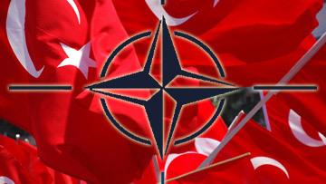 ​Эксперт назвал причины неспешной реакции НАТО на нарушение границ Турции