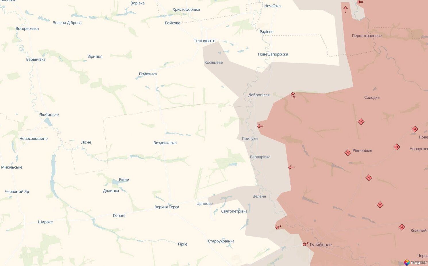 Украинские штурмовики зачистили Косовцево на Запорожье – в Сети показали видео операции