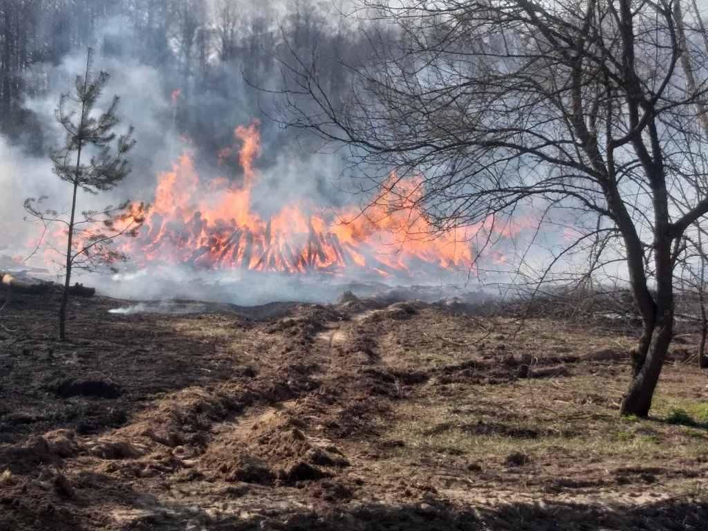 В Чернобыльской зоне горит 10 тысяч га леса – Украина, ЕС и Беларусь под угрозой