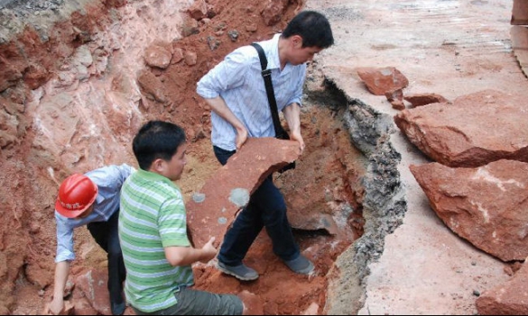 В Китае рабочие случайно обнаружили кладку яиц динозавров. Фото