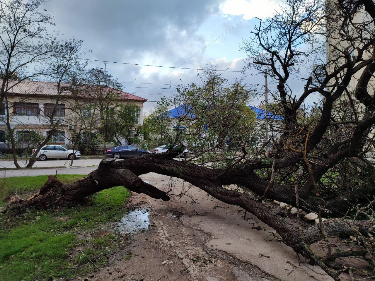 ​В Крыму 25% жителей полуострова остались без электричества: в Сети появились кадры последствий непогоды