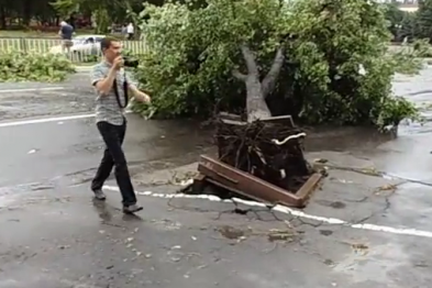 По Луганску прошелся ураган: В центре города деревья вырваны с корнем