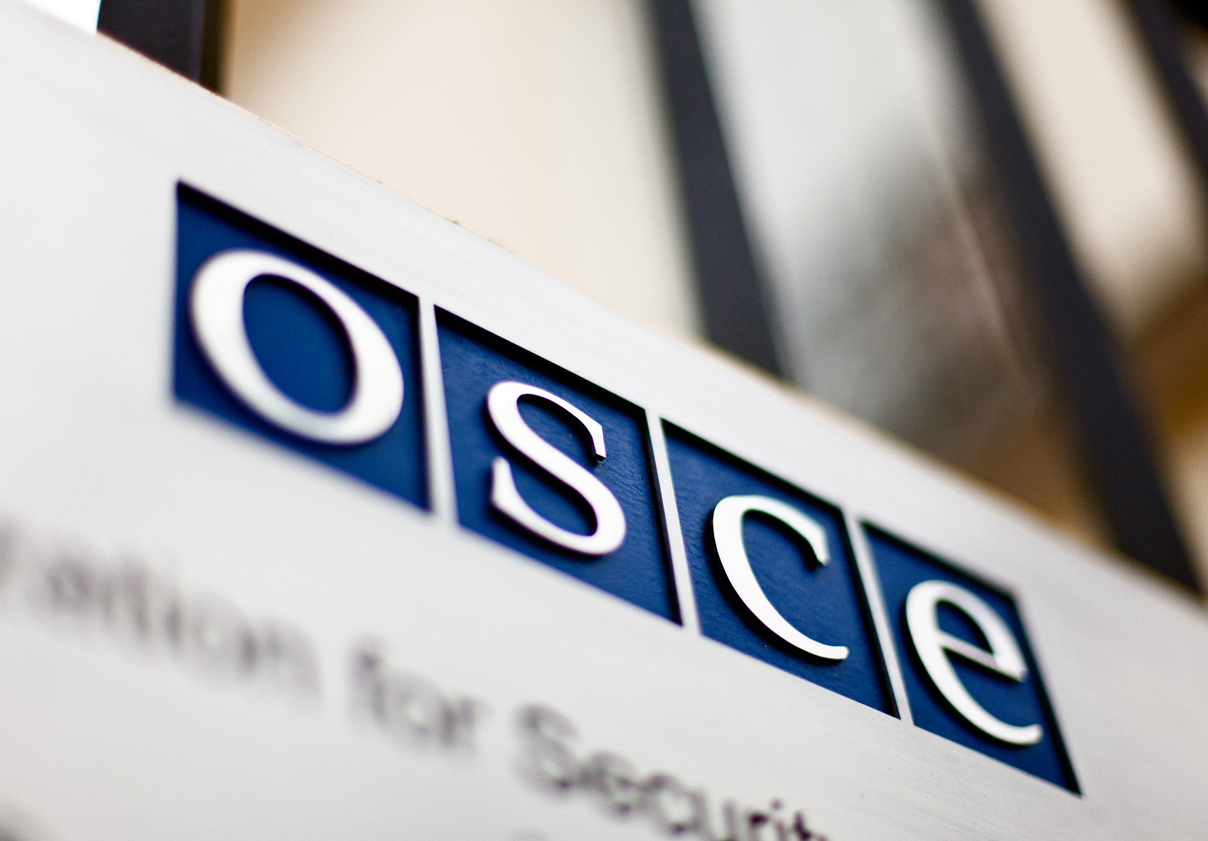 В ОБСЕ приняли резолюцию о миротворческой операции в Украине и продлении санкций против РФ 