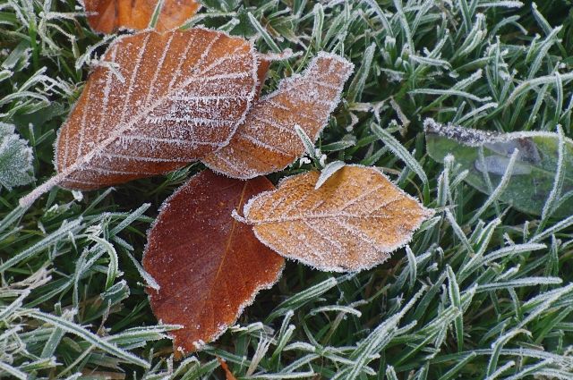 От заморозков до плюс 15 градусов тепла: погода в Украине готовит новые сюрпризы