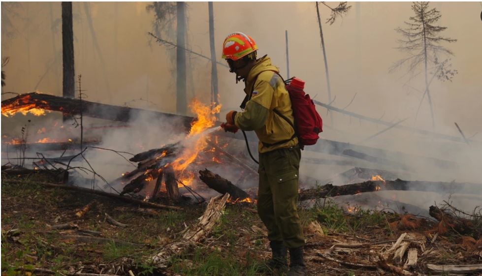 Дым от пожаров в Якутии дошел до Северного полюса - огонь уничтожает деревни