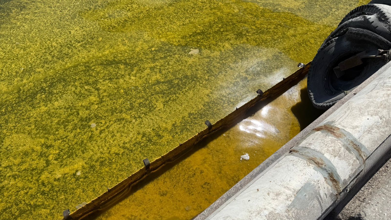 В Черноморске экологи фиксируют последствия экоцида РФ: загрязнение акватории порта