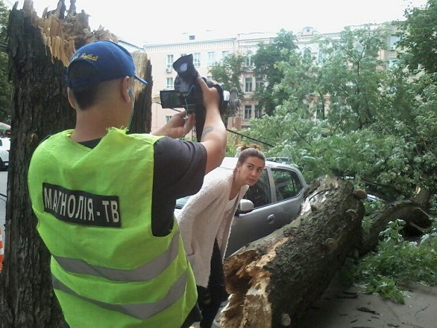 В Киеве от сильного ветра большое дерево рухнуло на машины, в которых находились люди. Повреждено 5 автомобилей