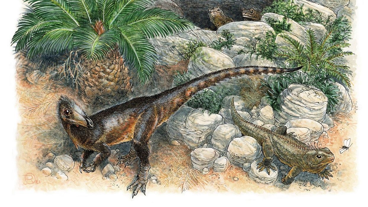 Размером с курицу: ученые обнаружили старейшего плотоядного динозавра из группы тероподов