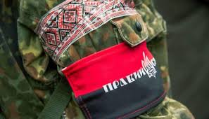 Получили за "хунту" и "бандеровских карателей": на Куликовом поле произошли жесткие стычки между "Правым сектором" и пророссийскими активистами