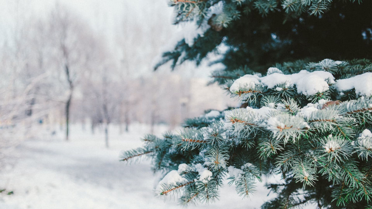 В Украину перед Новым годом ворвется настоящая зима: синоптик рассказал, какие дни станут самыми холодными
