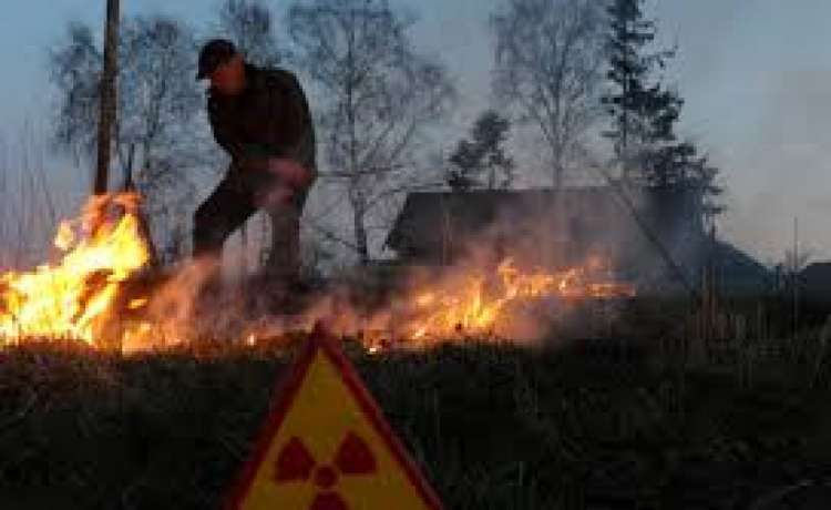 ГСЧС: В Чернобыльской зоне снова случился пожар 