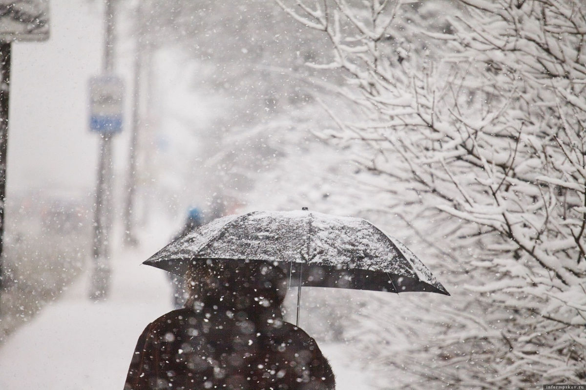 В Украину идет мокрый снег с порывами ветра: синоптик назвала области, которым больше всего не повезет с погодой