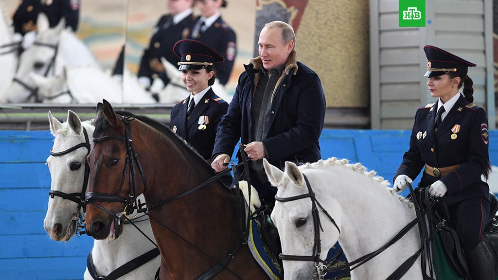 Путин прокатился на коне задом наперед: видео напуганной лошади, которая пятится назад с главой РФ, насмешило соцсети
