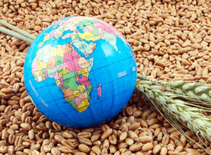 Forbes назвав нову гостру проблему для світового ринку продовольства, пов'язану з війною в Україні