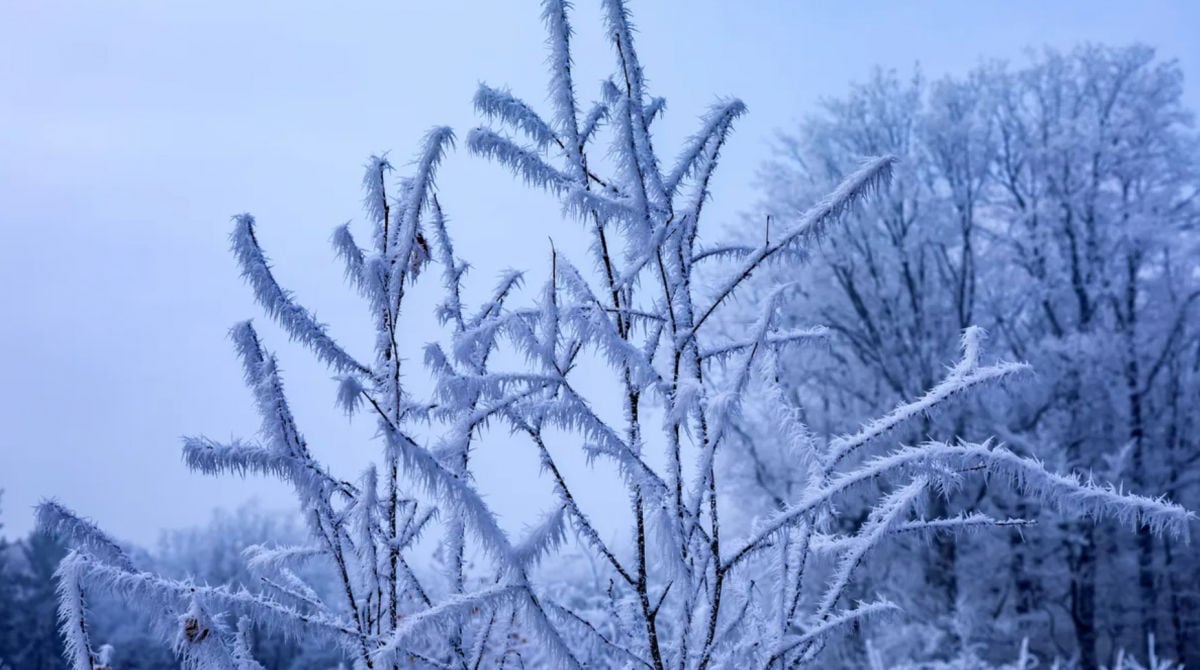 Морозы в Украине в начале февраля: каким областям готовиться к третьему уровню опасности 