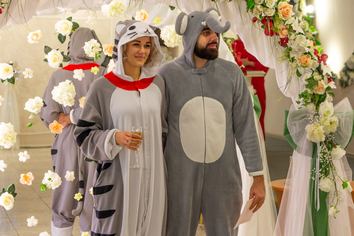 Свадебный креатив: в Днепре молодожены явились в РАГС в плюшевых костюмов слона и кошки – кадры
