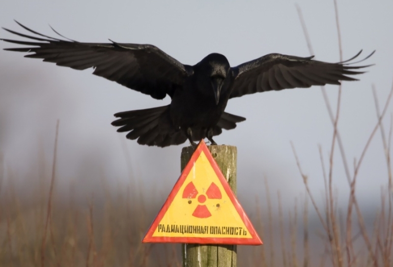 Донбасс постигнет радиоактивная катастрофа: полковник ВСУ Попов обеспокоен последствиями похабного хранения отходов в зоне боевых действий