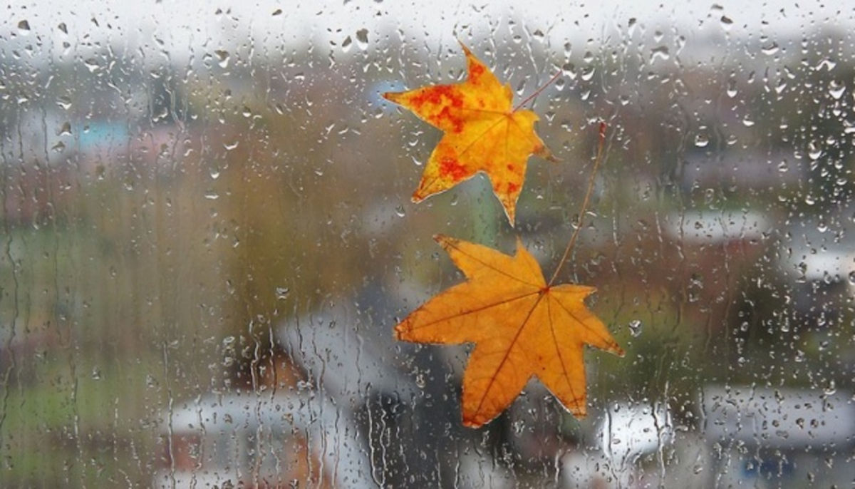 Дожди, ветер и похолодание: Украину накроет череда атмосферных фронтов