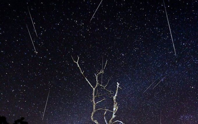 Метеоритный дождь Персеиды: очевидцы невероятного явления показали фантастические кадры звездопада