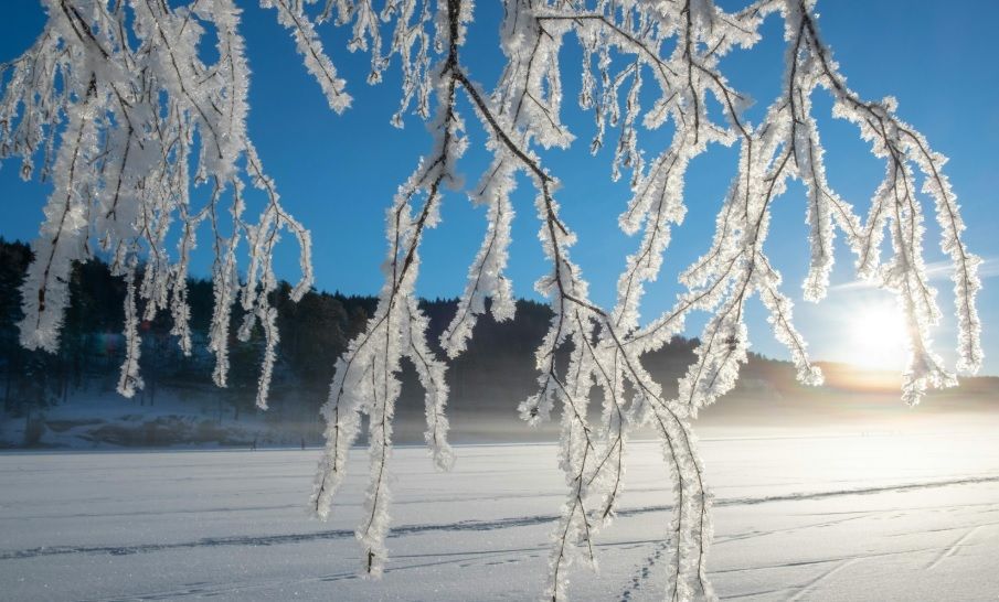 В ближайшие дни украинцы ощутят первые сигналы весны, но есть нюанс: когда наступит потепление – синоптик