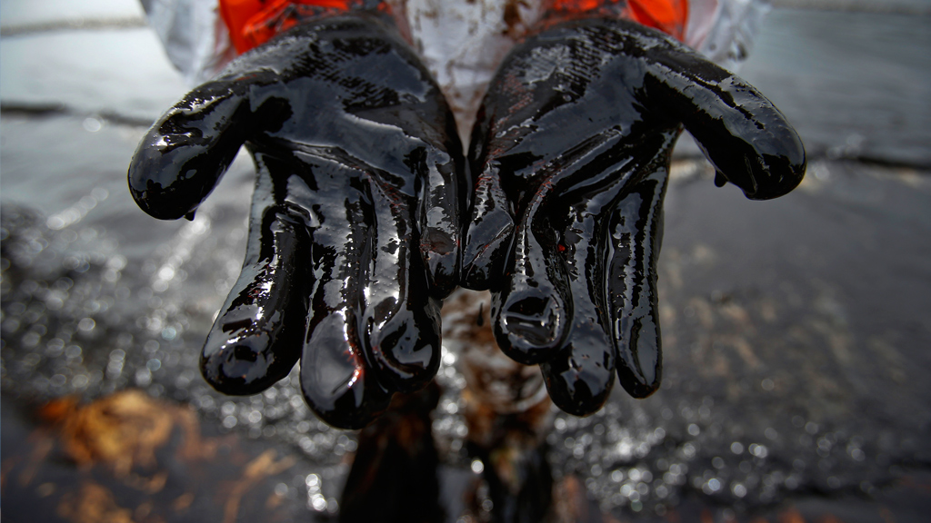 Борьба с экологическими катаклизмами: австралийские ученые создали губку, которая очистит поверхность морских вод от разливов нефти
