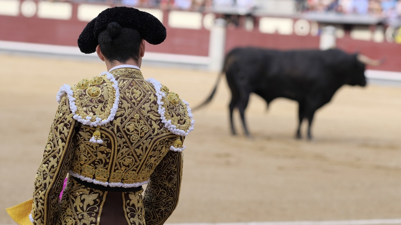 Во Франции разъяренный бык напал на зрителей: много пострадавших, полиция пошла на срочные меры