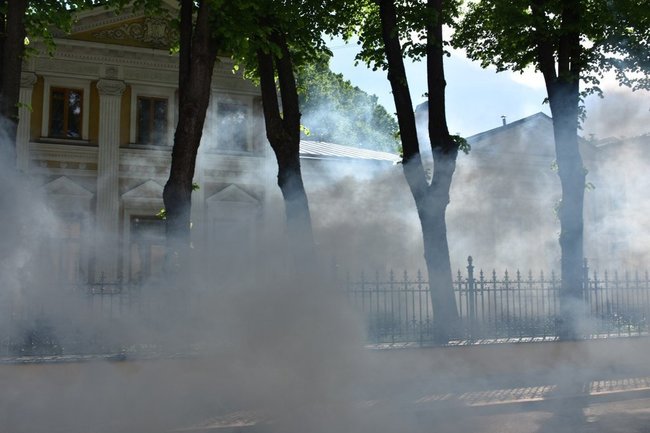 Активисты забросали дымовыми шашками резиденцию патриарха Кирилла и вывесили баннер на заборе - кадры